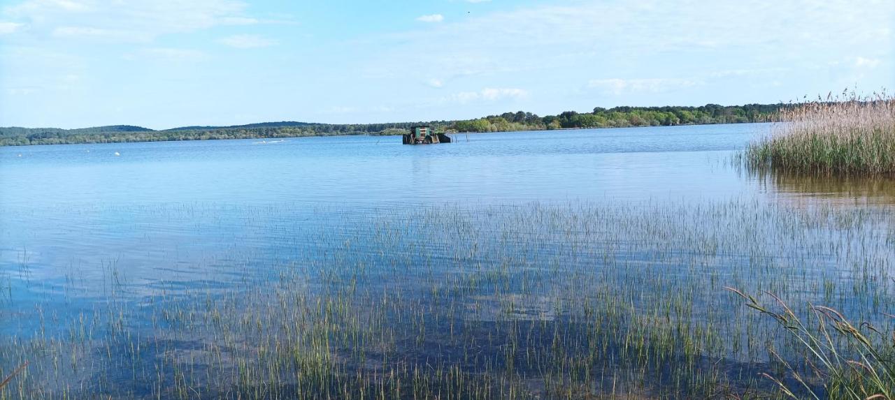Les Terrasses Du Lac Piscine Et Vue Lac A4 Aureilhan  외부 사진