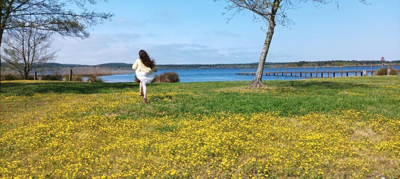 Les Terrasses Du Lac Piscine Et Vue Lac A4 Aureilhan  외부 사진