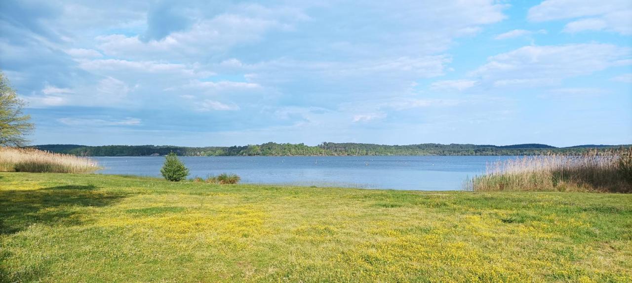 Les Terrasses Du Lac Piscine Et Vue Lac A4 Aureilhan  외부 사진