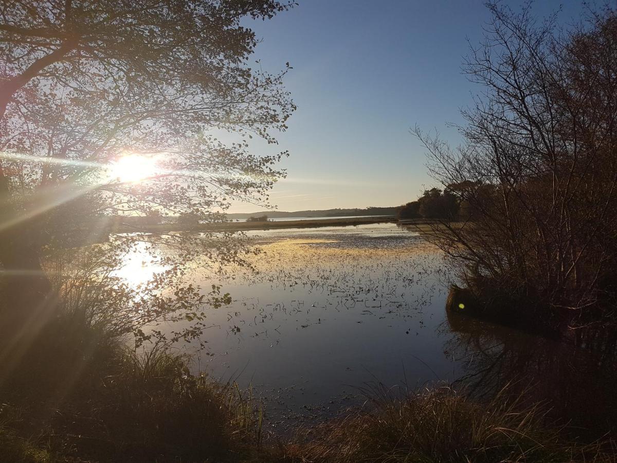 Les Terrasses Du Lac Piscine Et Vue Lac A4 Aureilhan  외부 사진